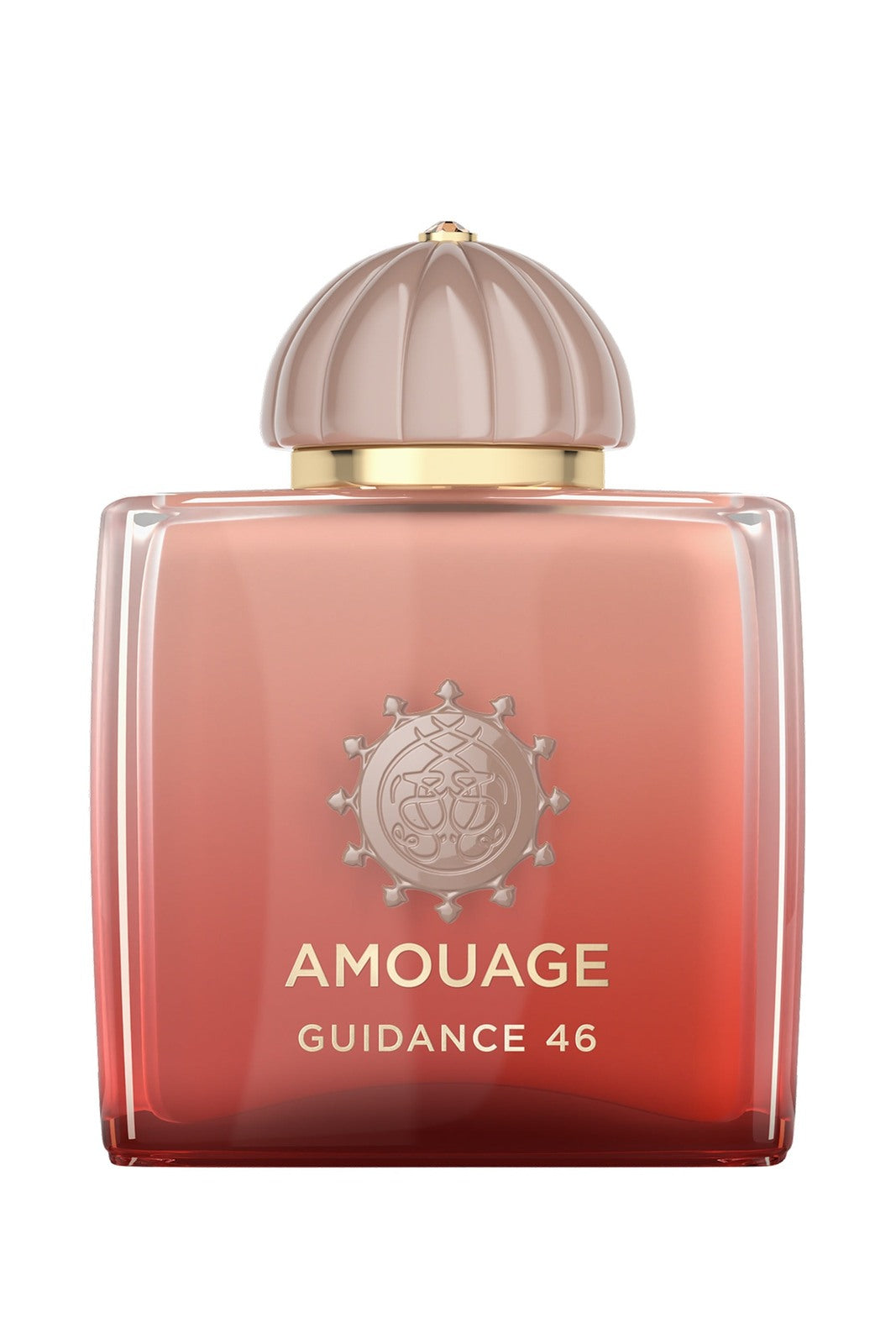 Amouage Guidance 46 Extrait De Parfum 100 ml