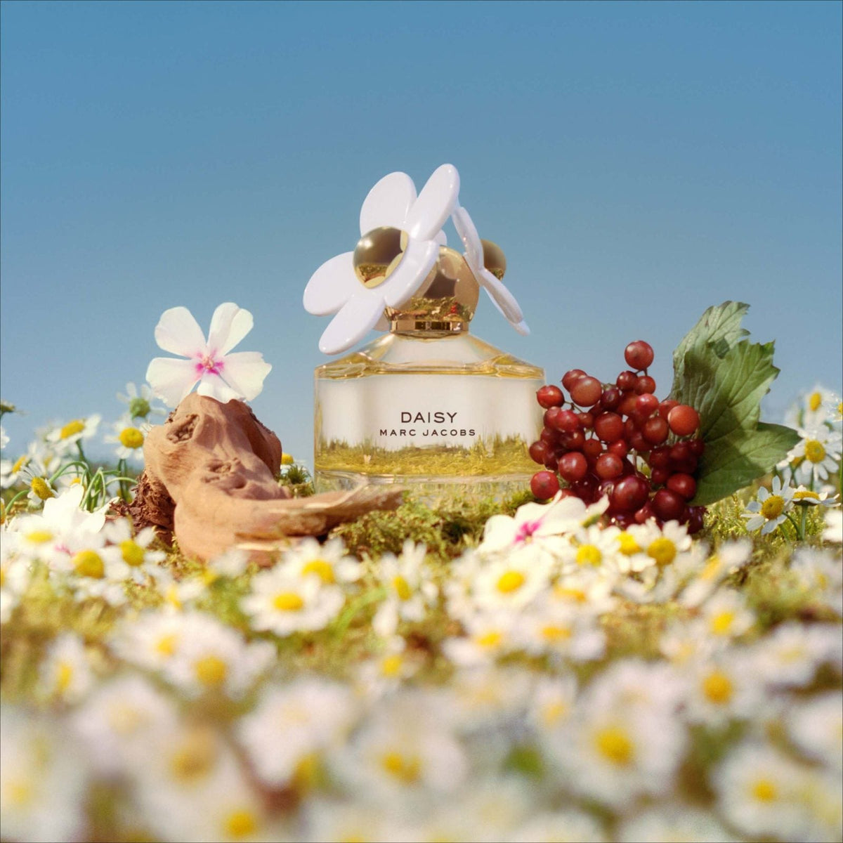 Marc Jacobs Daisy EDT 100 ML
