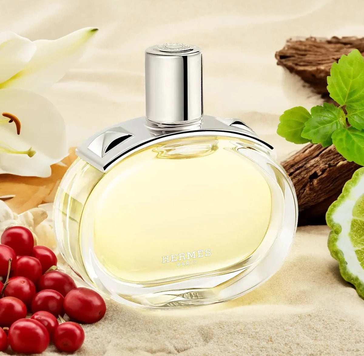 Hermes Barenia Fetes en Hermes Edition EDP 100ml