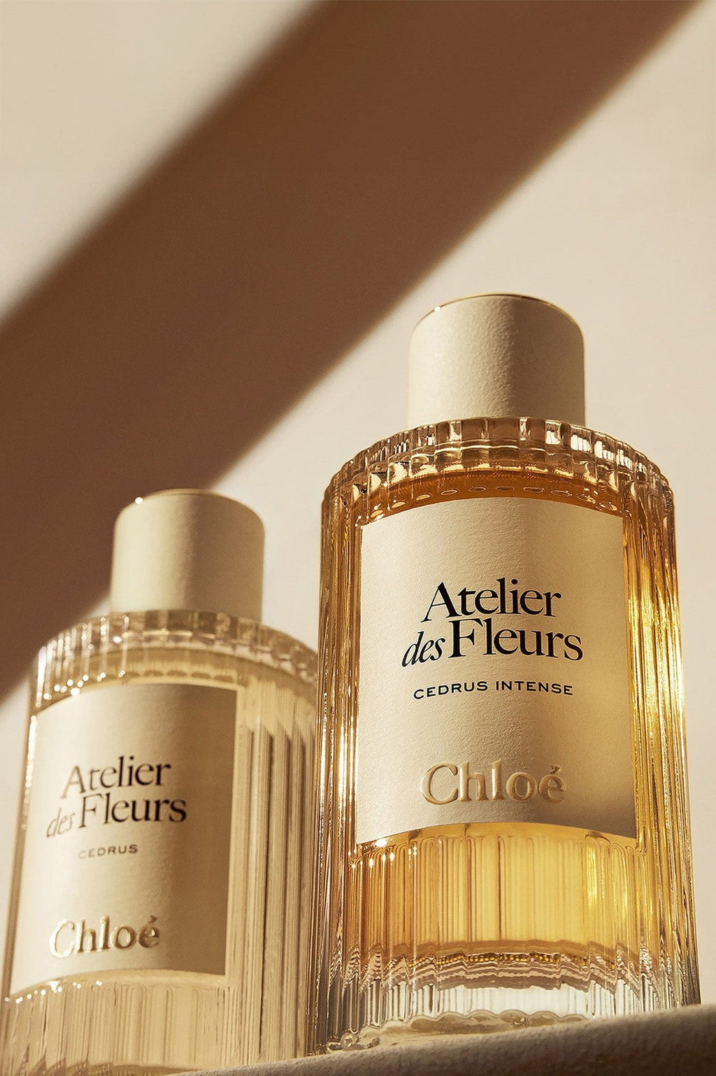 Chloe Atelier Des Fleurs Cedrus Intense EDP 150ML