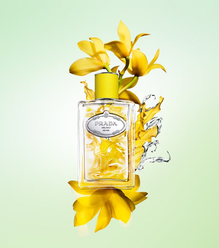 Prada Infusion d'Ylang EDP 100ml