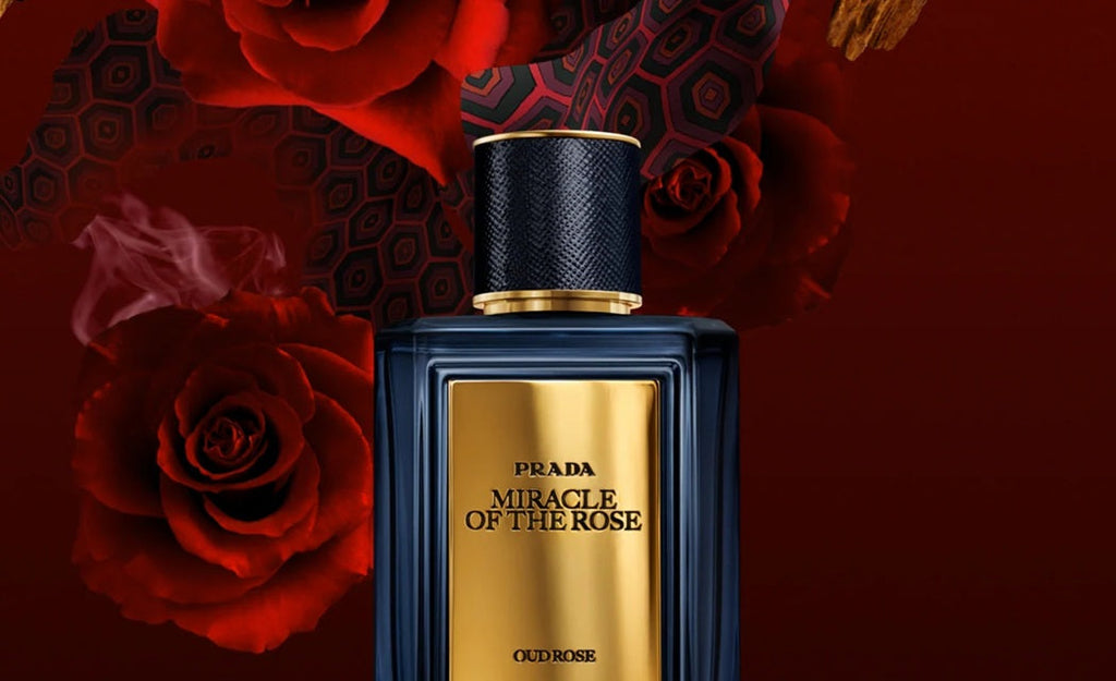Prada Olfactories Miracle Of The Rose Oud Rose Edp 100ml