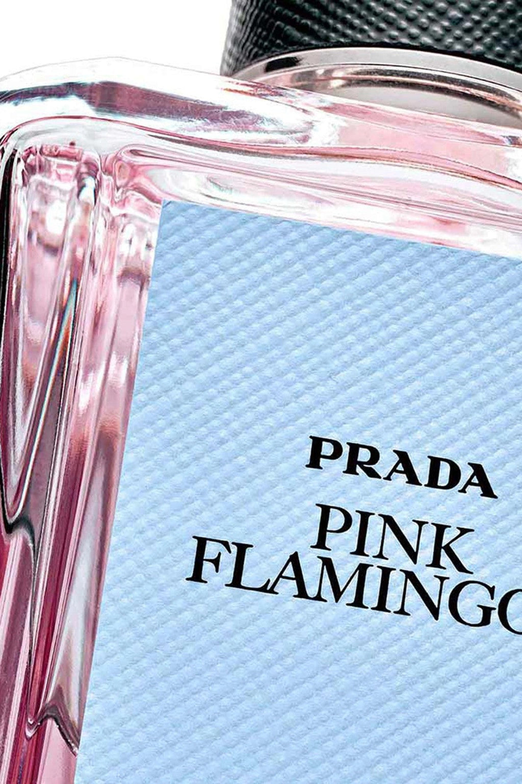 Prada Olfactories Pink Flamingos EDP 100ml