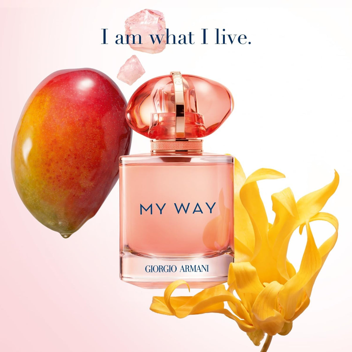 Giorgio Armani My Way Ylang EDP 90ml