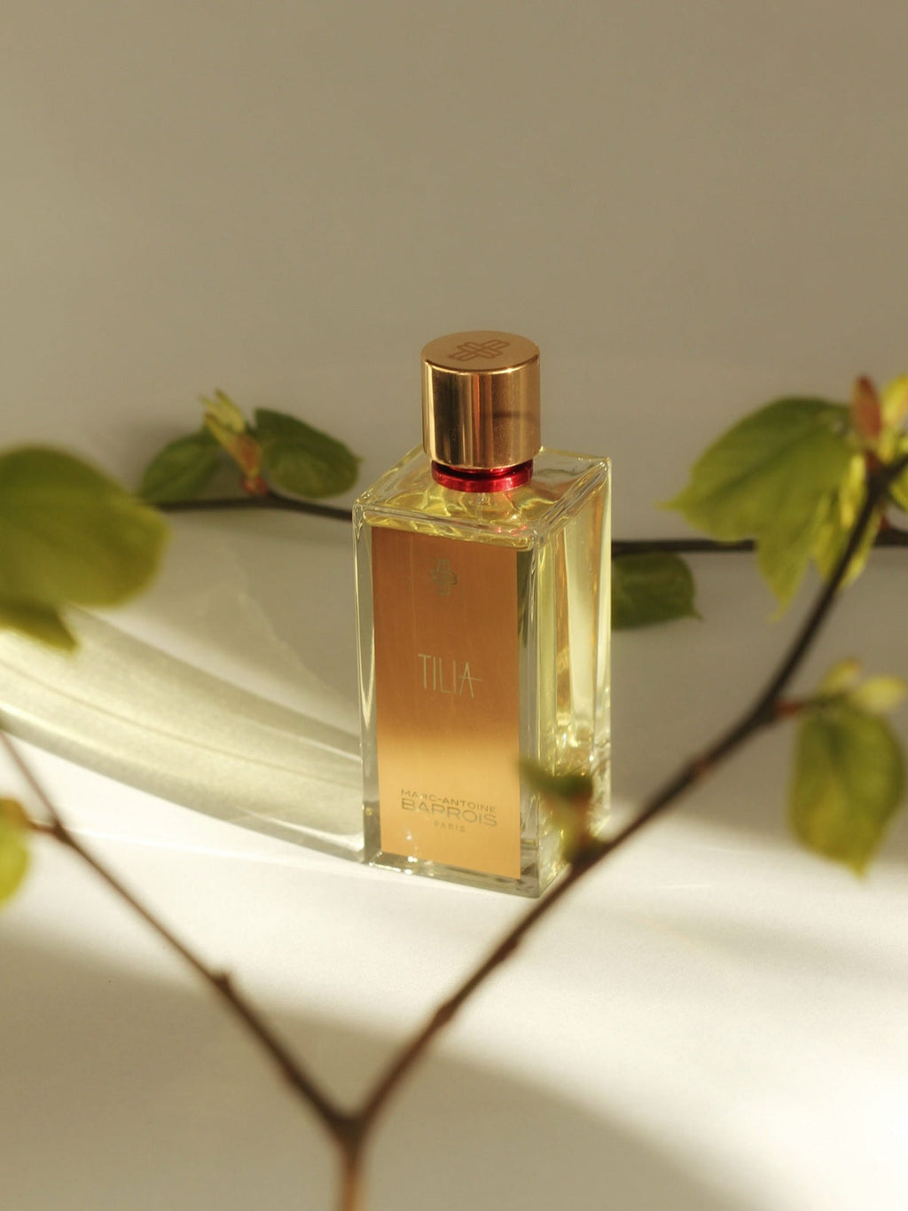 Marc-Antoine Barrois Tilia EDP 100 ML