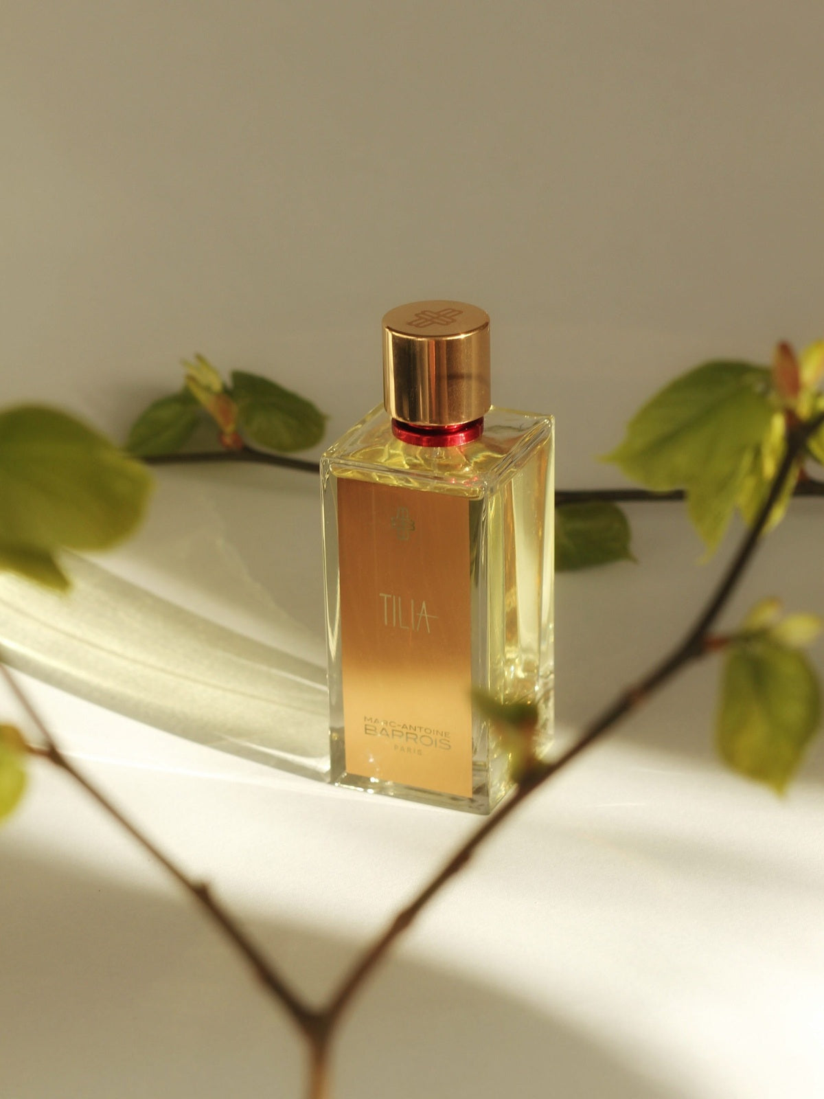Marc-Antoine Barrois Tilia EDP 100 ML