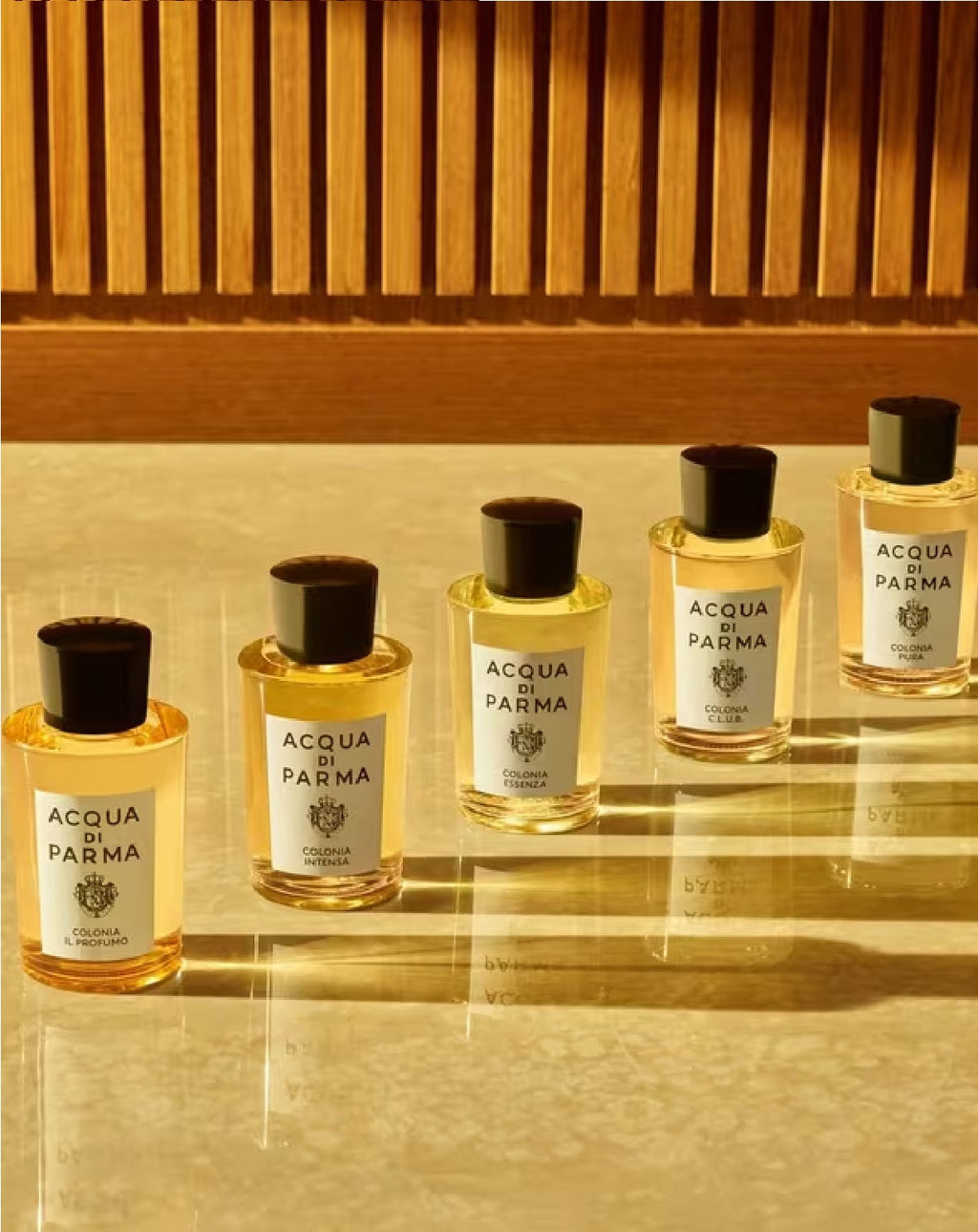 Acqua Di Parma Colonia Intensa EDC 100ml